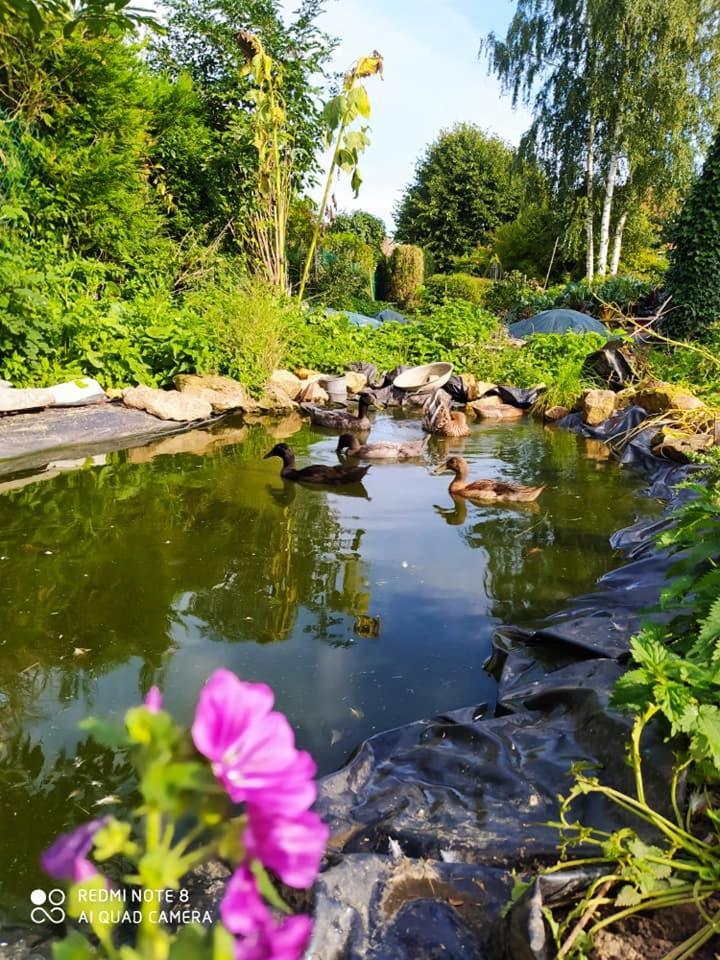 Tente Mongole 4 Saisons Cosy Et Spacieux Conchy-les-Pots Dış mekan fotoğraf